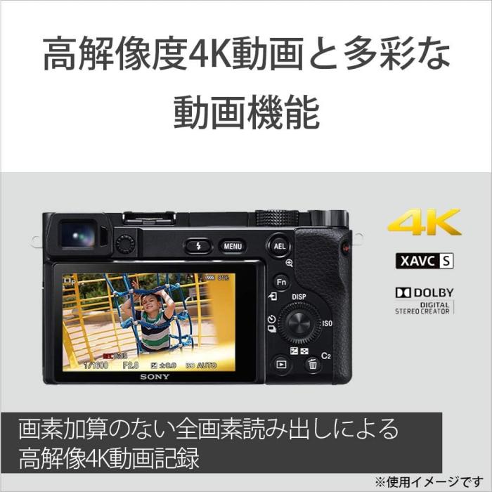 α6100 ILCE-6100Y ダブルズームレンズキット [ホワイト] 商品画像7：沙羅の木 plus