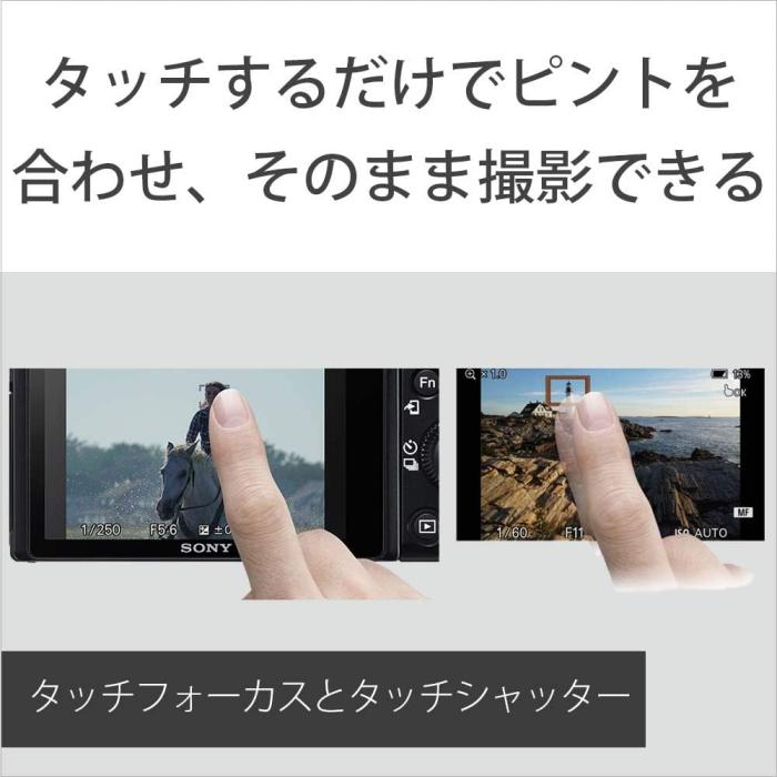 α6100 ILCE-6100Y ダブルズームレンズキット [ホワイト] 商品画像10：沙羅の木 plus