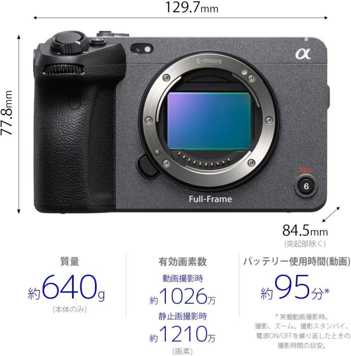 ILME-FX3 商品画像8：沙羅の木 plus