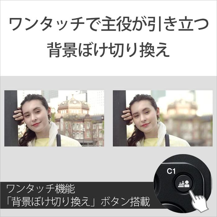 VLOGCAM ZV-E10L パワーズームレンズキット [ブラック] 商品画像8：沙羅の木 plus