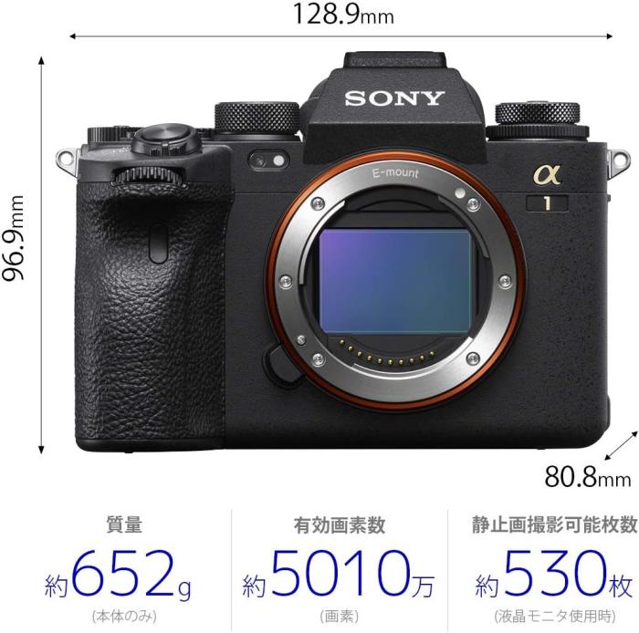 α1 ILCE-1 ボディ 商品画像6：沙羅の木 plus