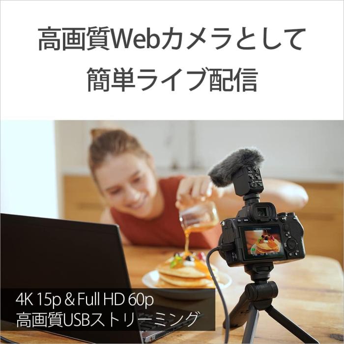 α7 IV ILCE-7M4K ズームレンズキット 商品画像13：沙羅の木 plus