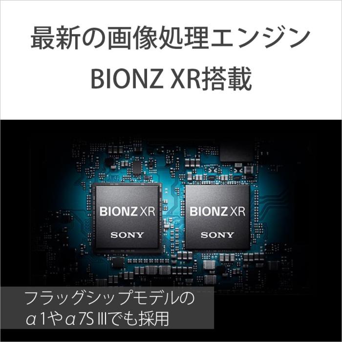 α7 IV ILCE-7M4K ズームレンズキット 商品画像5：沙羅の木 plus