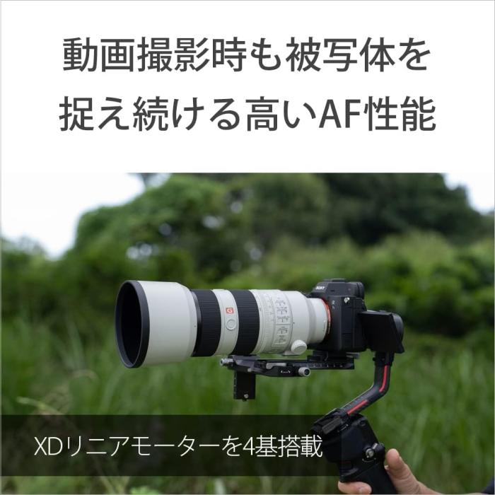 FE 70-200mm F2.8 GM OSS II SEL70200GM2 商品画像9：沙羅の木 plus