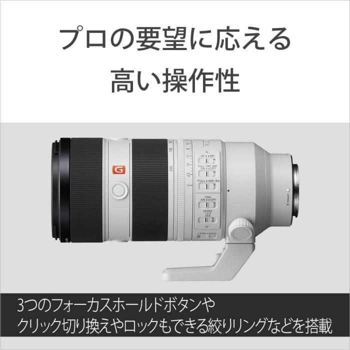 FE 70-200mm F2.8 GM OSS II SEL70200GM2 商品画像11：沙羅の木 plus