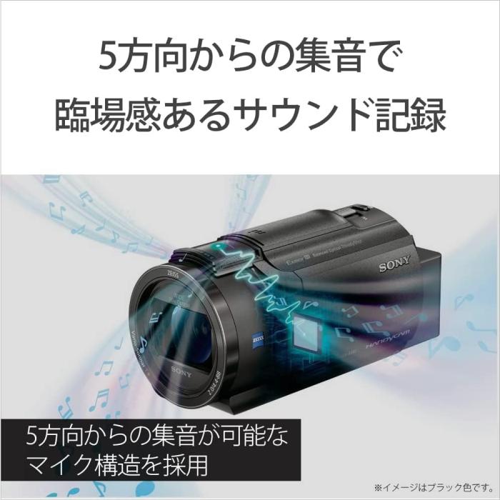 FDR-AX45A (B) [ブラック] 商品画像11：沙羅の木 plus