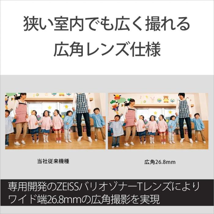 FDR-AX45A (TI) [ブロンズブラウン] 商品画像11：沙羅の木 plus