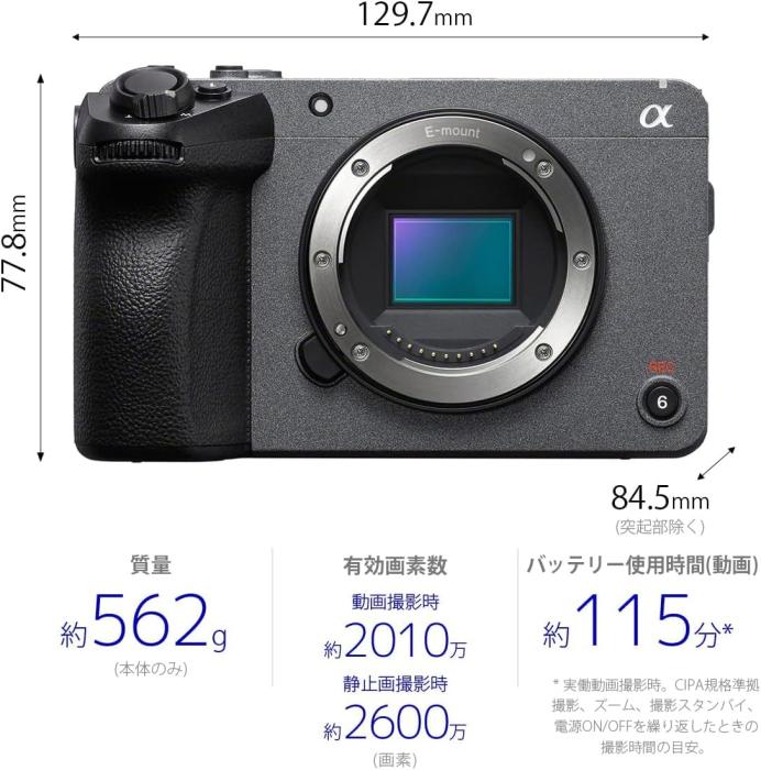 ILME-FX30B 商品画像8：沙羅の木 plus