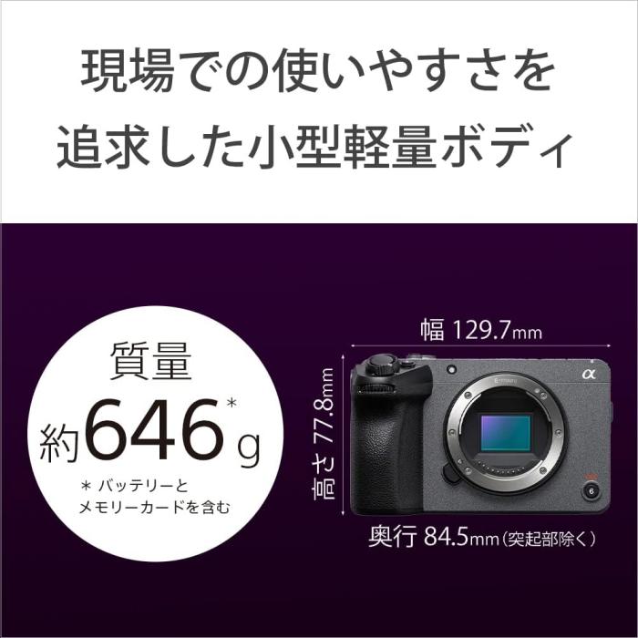 ILME-FX30B 商品画像17：沙羅の木 plus