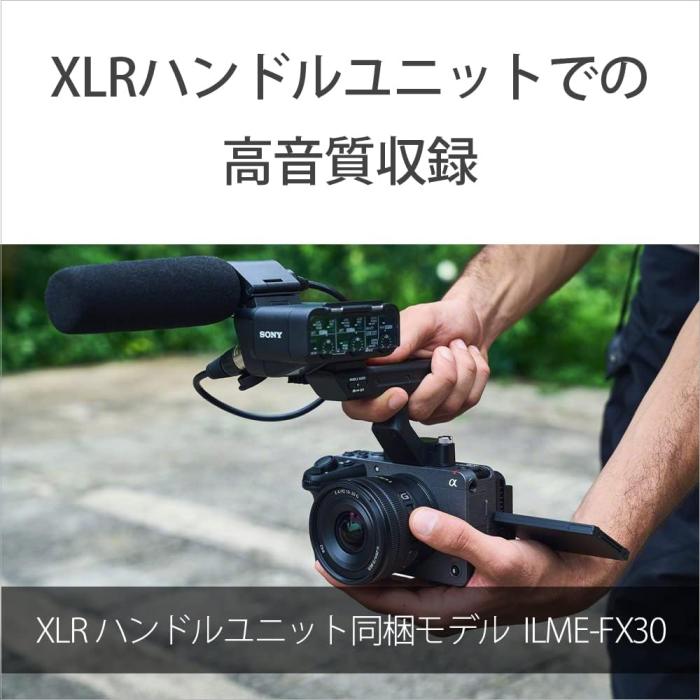 ILME-FX30B 商品画像20：沙羅の木 plus