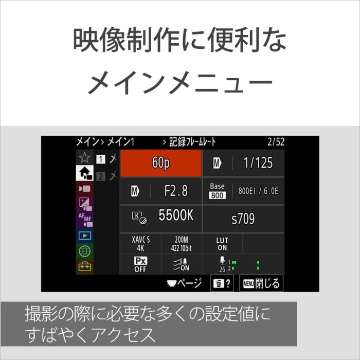 ILME-FX30B 商品画像23：沙羅の木 plus