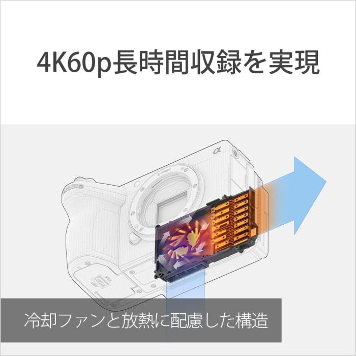 ILME-FX30B 商品画像24：沙羅の木 plus