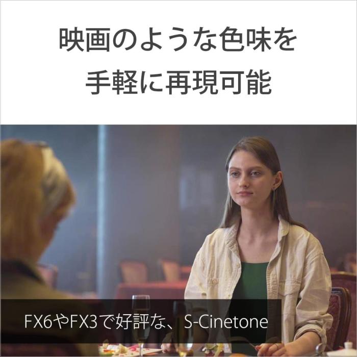 ILME-FX30B 商品画像11：沙羅の木 plus