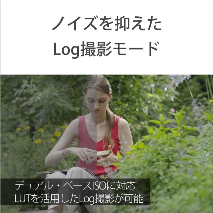 ILME-FX30B 商品画像13：沙羅の木 plus