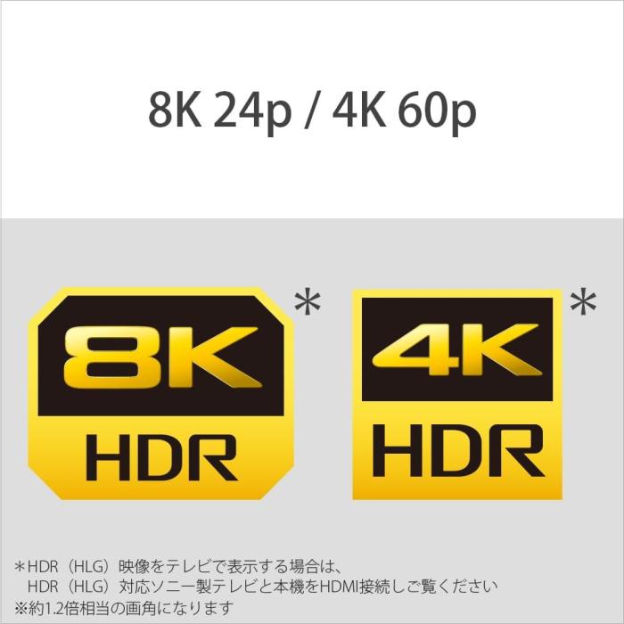 α7R V ILCE-7RM5 ボディ 商品画像22：沙羅の木 plus