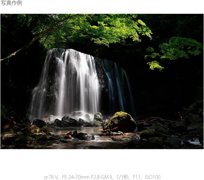 α7R V ILCE-7RM5 ボディ 商品画像23：沙羅の木 plus