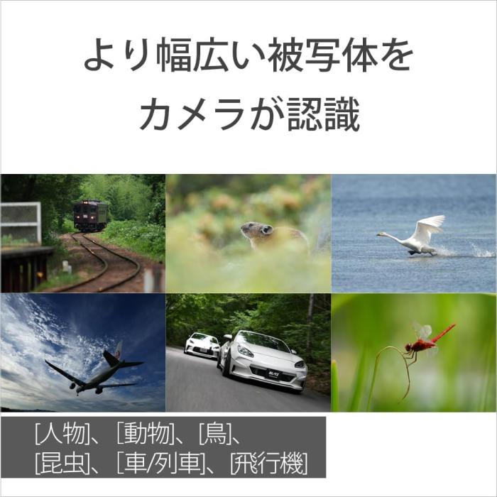 α7R V ILCE-7RM5 ボディ 商品画像16：沙羅の木 plus