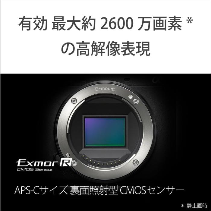 α6700 ILCE-6700M 高倍率ズームレンズキット [ブラック] 商品画像18：沙羅の木 plus