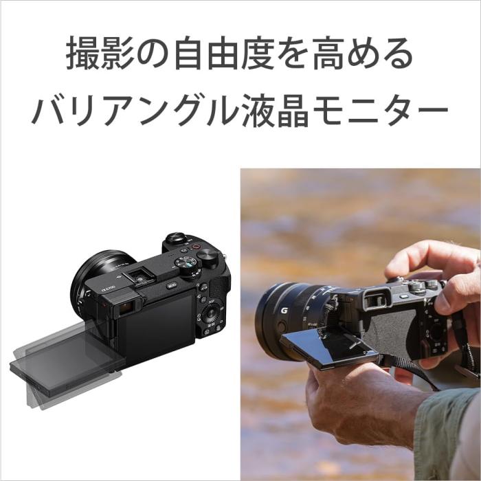 α6700 ILCE-6700M 高倍率ズームレンズキット [ブラック] 商品画像9：沙羅の木 plus