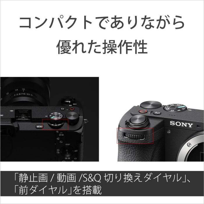 α6700 ILCE-6700M 高倍率ズームレンズキット [ブラック] 商品画像11：沙羅の木 plus