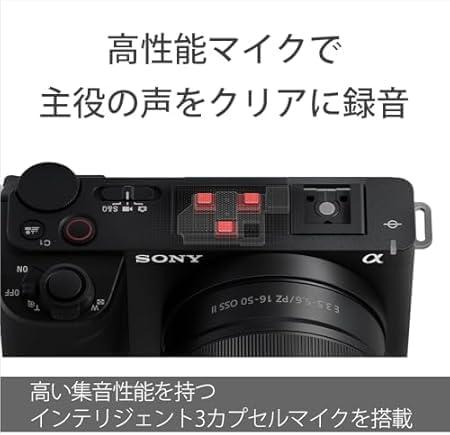 VLOGCAM ZV-E10M2X ダブルズームレンズキット [ホワイト] 商品画像17：沙羅の木 plus