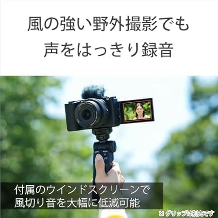 VLOGCAM ZV-E10M2X ダブルズームレンズキット [ホワイト] 商品画像18：沙羅の木 plus