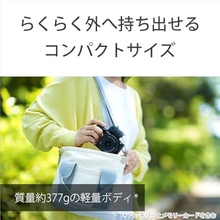 VLOGCAM ZV-E10M2X ダブルズームレンズキット [ホワイト] 商品画像19：沙羅の木 plus