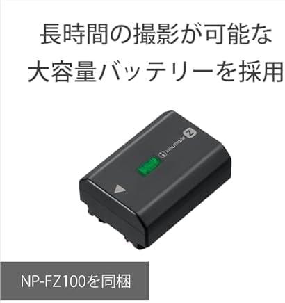 VLOGCAM ZV-E10M2X ダブルズームレンズキット [ホワイト] 商品画像20：沙羅の木 plus