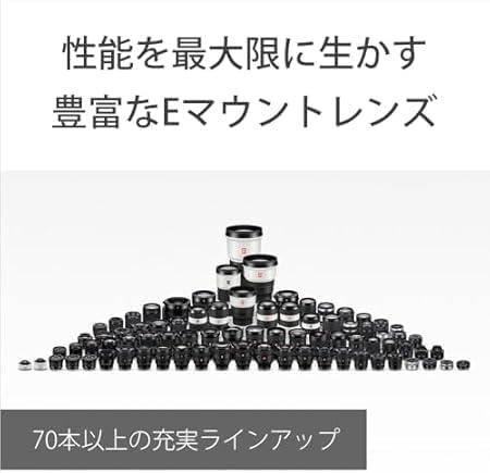 VLOGCAM ZV-E10M2X ダブルズームレンズキット [ホワイト] 商品画像24：沙羅の木 plus