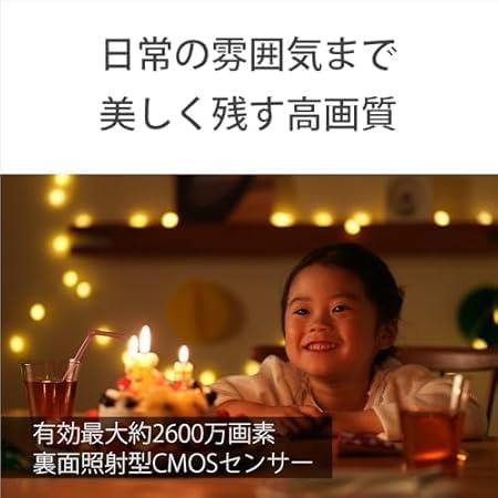VLOGCAM ZV-E10M2X ダブルズームレンズキット [ホワイト] 商品画像12：沙羅の木 plus