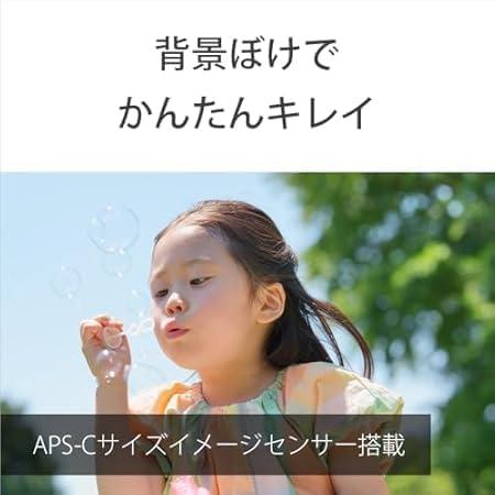 VLOGCAM ZV-E10M2X ダブルズームレンズキット [ホワイト] 商品画像14：沙羅の木 plus