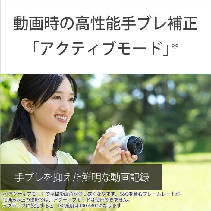 VLOGCAM ZV-E10M2K パワーズームレンズキット [ブラック] 商品画像19：沙羅の木 plus