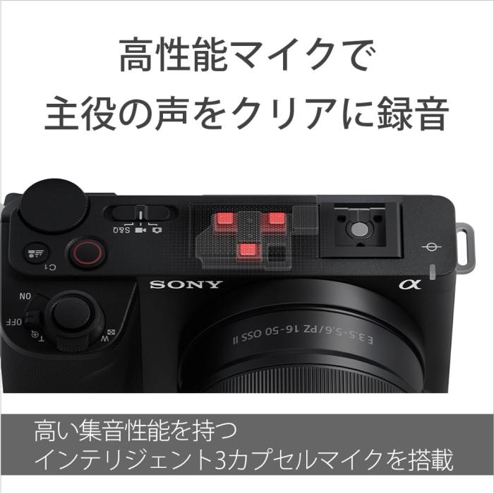 VLOGCAM ZV-E10M2K パワーズームレンズキット [ブラック] 商品画像20：沙羅の木 plus