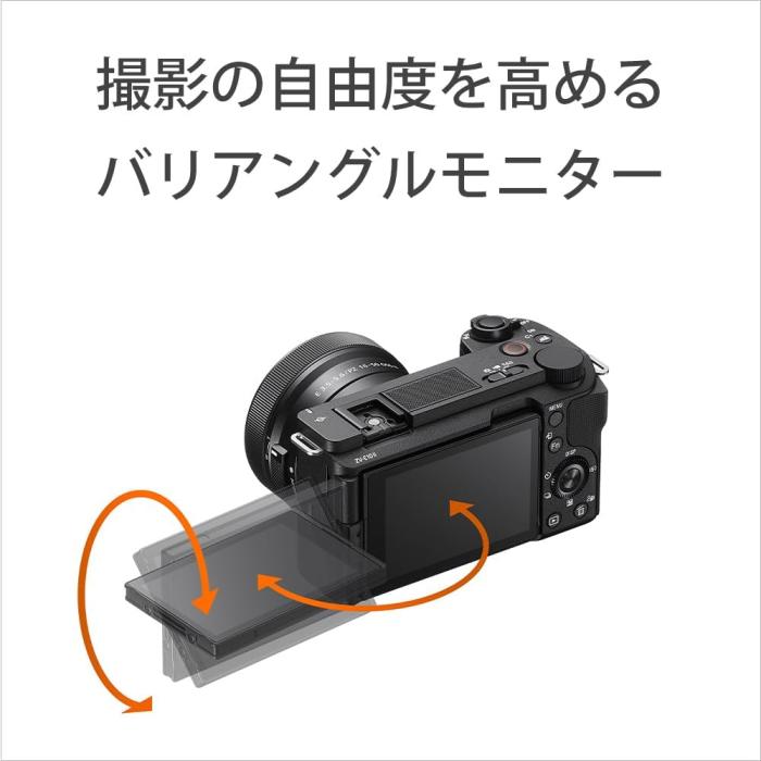 VLOGCAM ZV-E10M2K パワーズームレンズキット [ブラック] 商品画像26：沙羅の木 plus