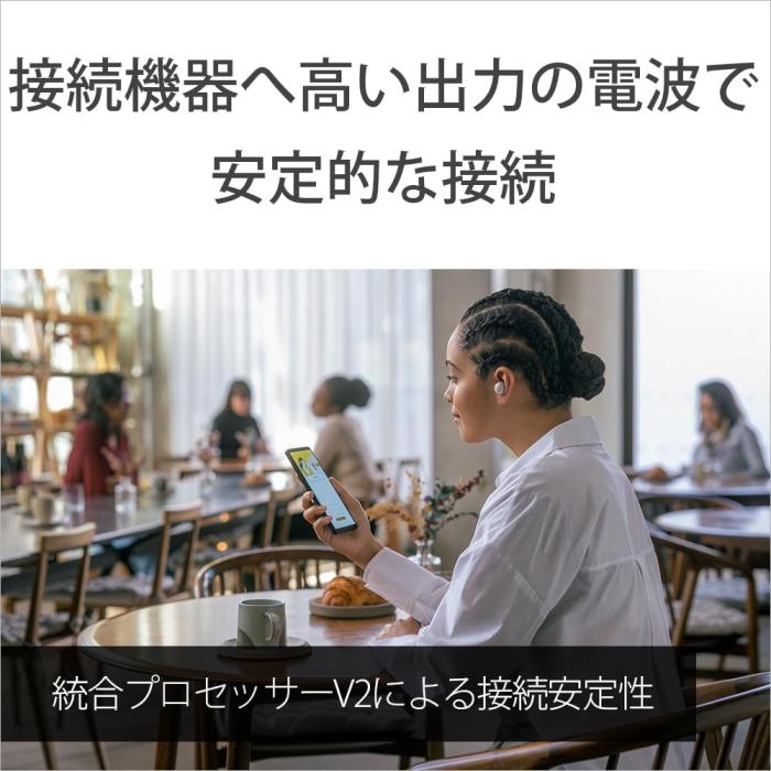 WF-1000XM5 (P) [スモーキーピンク] 商品画像21：沙羅の木 plus