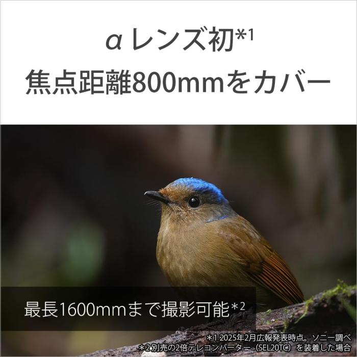 FE 400-800mm F6.3-8 G OSS SEL400800G 商品画像6：沙羅の木 plus