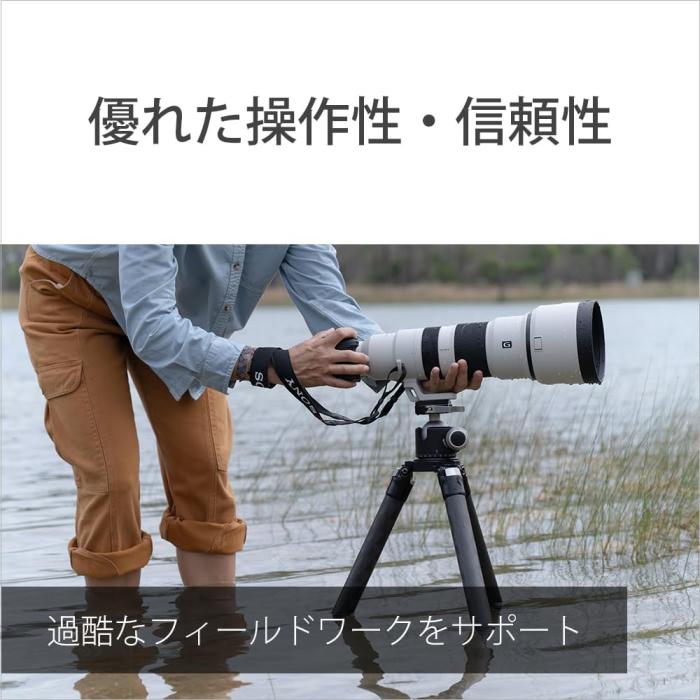 FE 400-800mm F6.3-8 G OSS SEL400800G 商品画像10：沙羅の木 plus