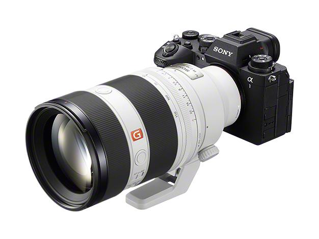 FE 50-150mm F2 GM SEL50150GM 商品画像7：沙羅の木 plus