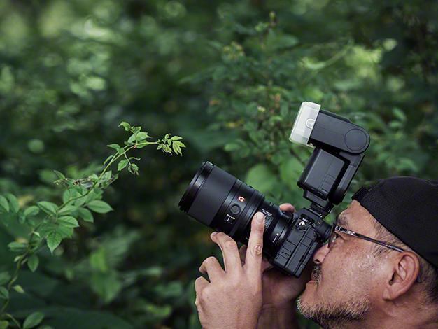 FE 100mm F2.8 Macro GM OSS SEL100M28GM 商品画像12：沙羅の木 plus