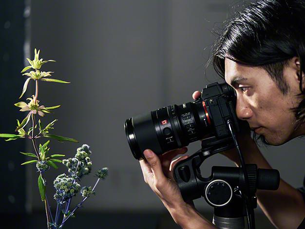 FE 100mm F2.8 Macro GM OSS SEL100M28GM 商品画像16：沙羅の木 plus