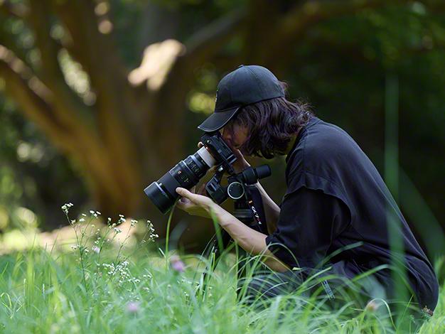 FE 100mm F2.8 Macro GM OSS SEL100M28GM 商品画像17：沙羅の木 plus