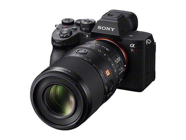 FE 100mm F2.8 Macro GM OSS SEL100M28GM 商品画像7：沙羅の木 plus