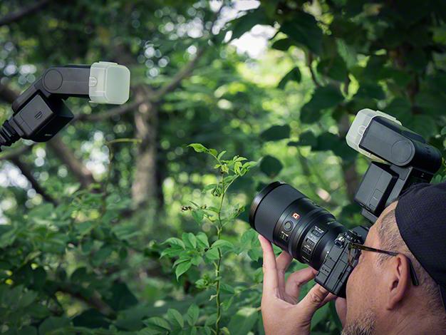 FE 100mm F2.8 Macro GM OSS SEL100M28GM 商品画像11：沙羅の木 plus