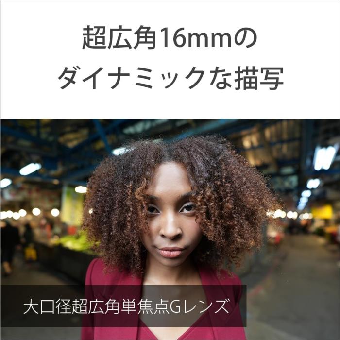 FE 16mm F1.8 G SEL16F18G 商品画像7：沙羅の木 plus