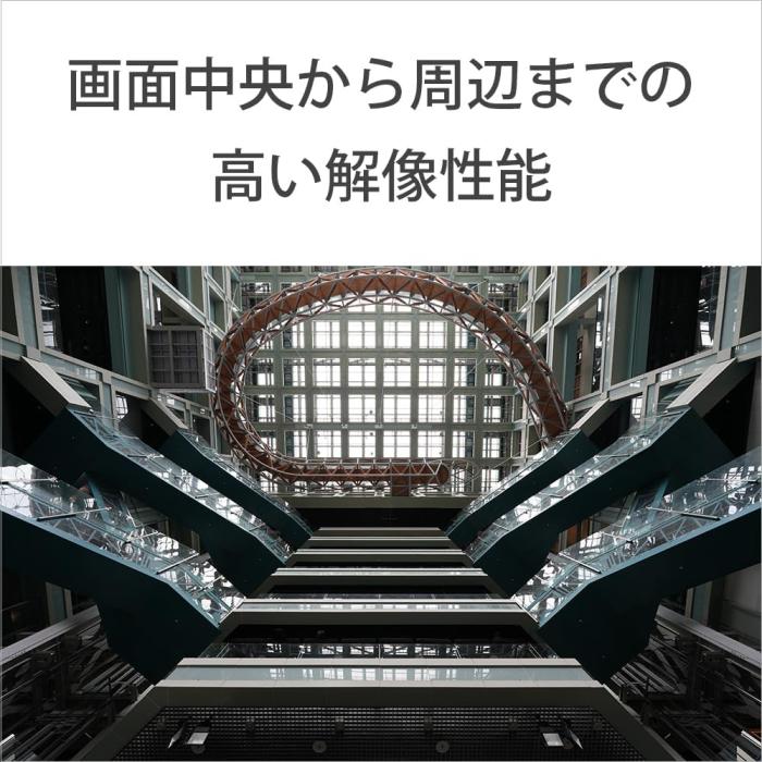 FE 16mm F1.8 G SEL16F18G 商品画像8：沙羅の木 plus