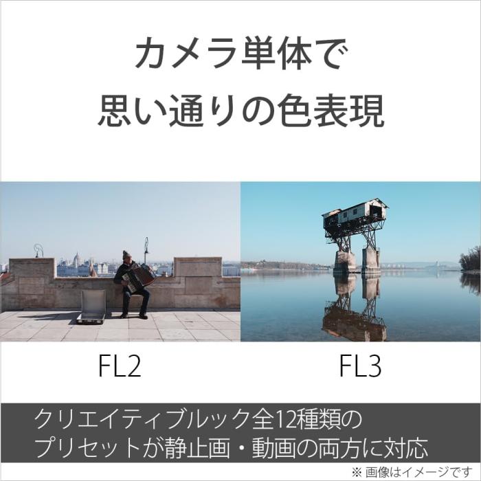α7 V ILCE-7M5 ボディ 商品画像18：沙羅の木 plus