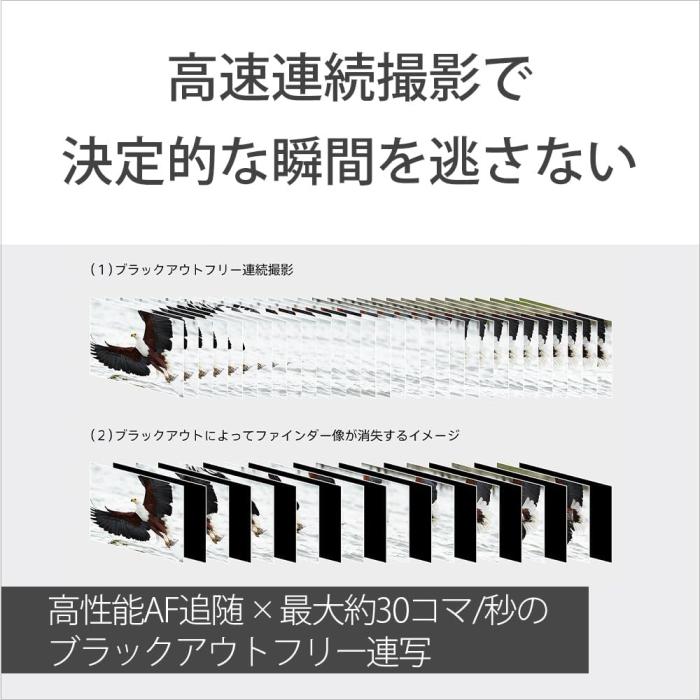 α7 V ILCE-7M5 ボディ 商品画像14：沙羅の木 plus