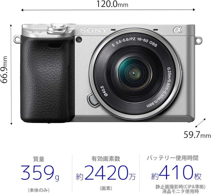 α6400 ILCE-6400Y ダブルズームレンズキット [シルバー] 商品画像3：沙羅の木 plus