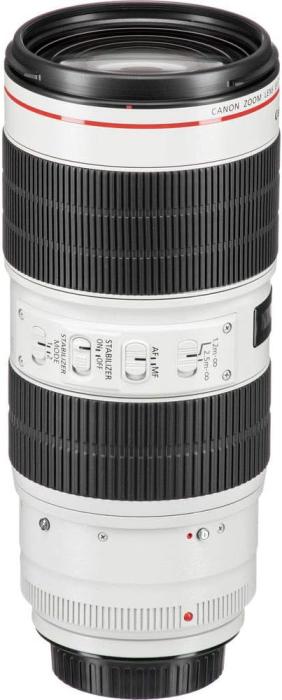 EF70-200mm F2.8L IS III USM 商品画像4：沙羅の木 plus