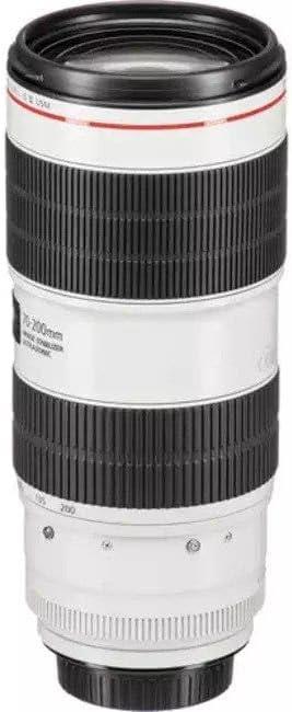 EF70-200mm F2.8L IS III USM 商品画像5：沙羅の木 plus